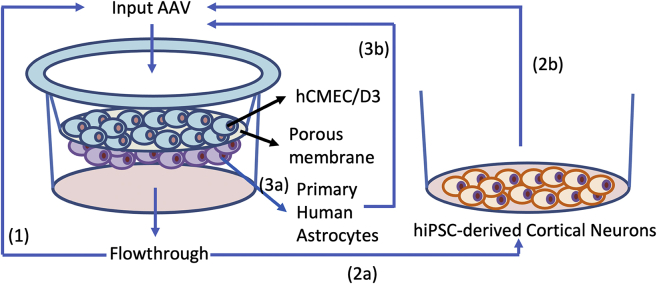 Figure 2