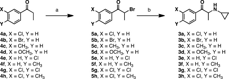 Scheme 1