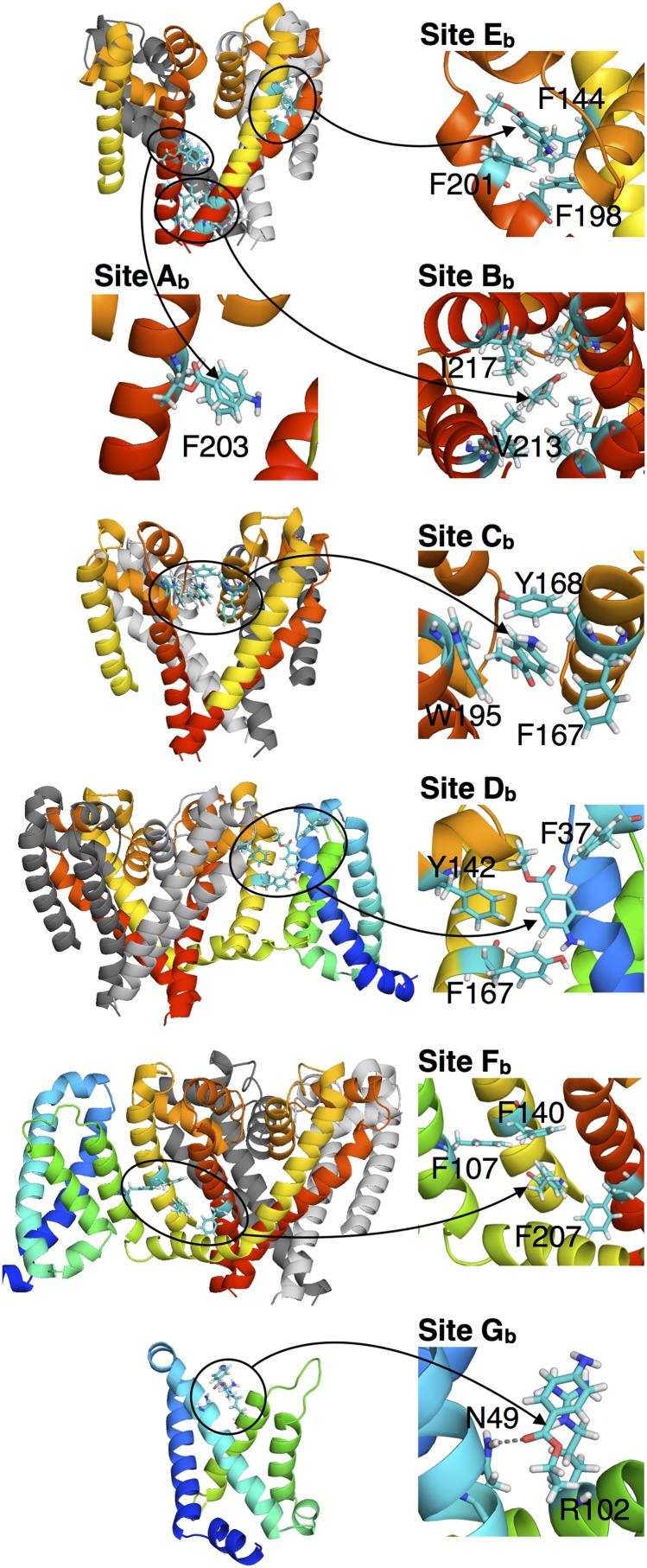 Fig. 4.