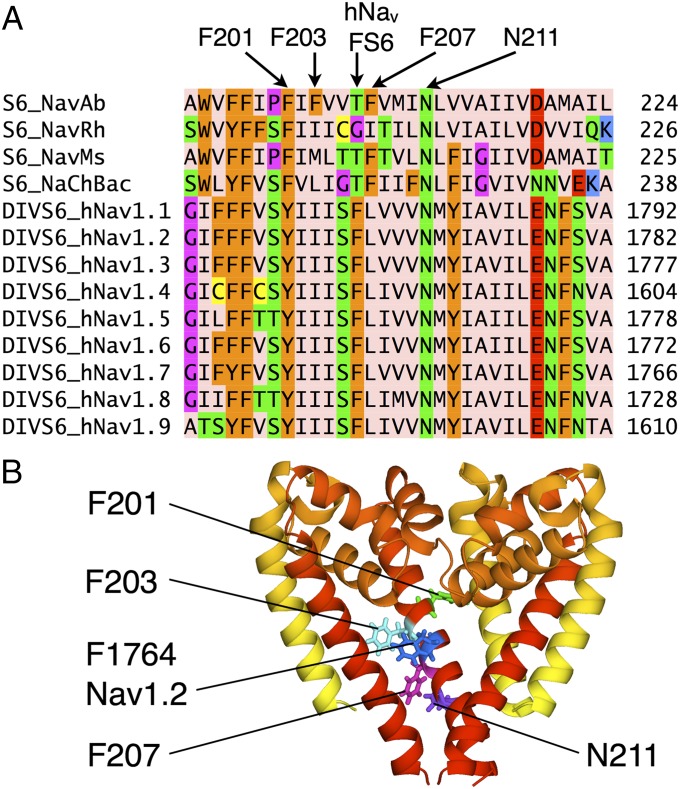 Fig. 2.