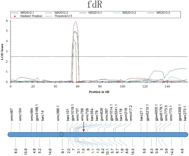 Fig 7