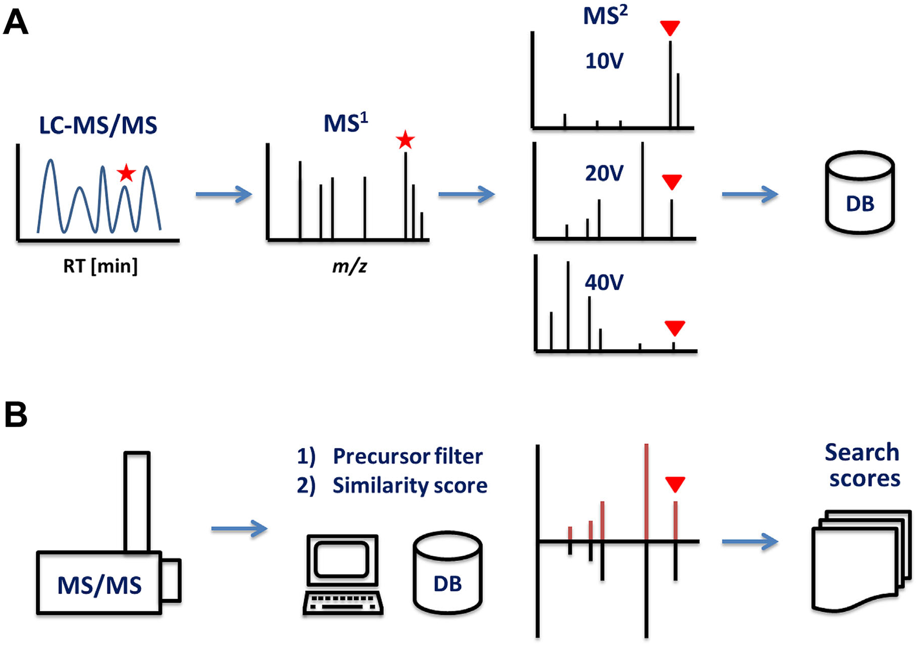 FIGURE 2