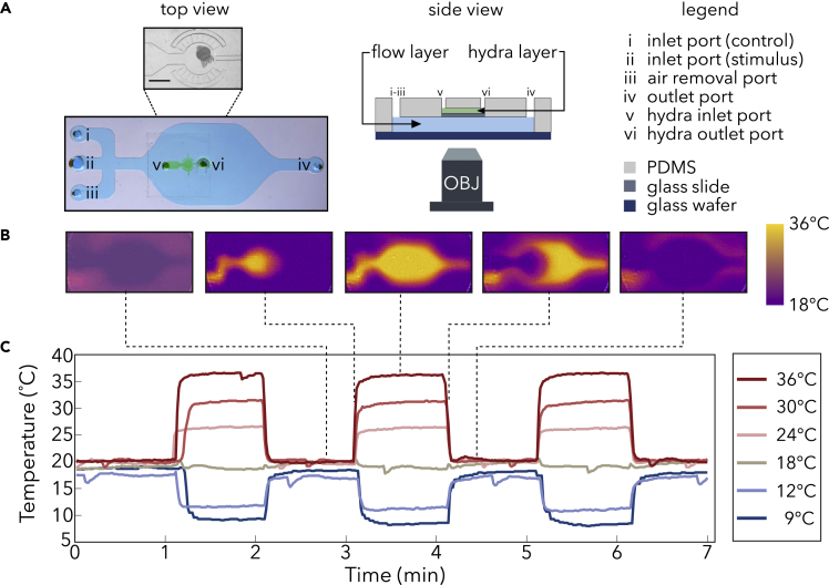 Figure 1