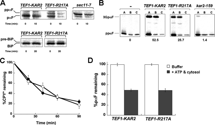 FIGURE 4.