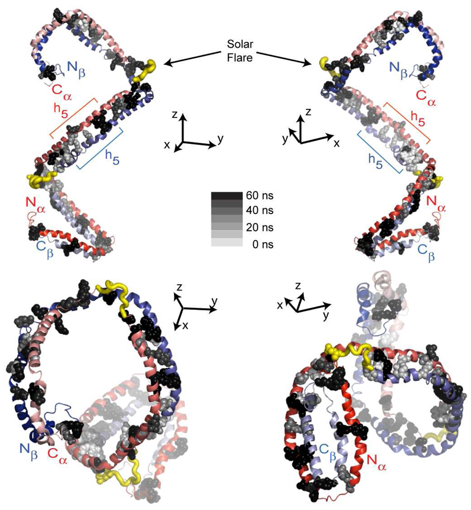 FIGURE 11