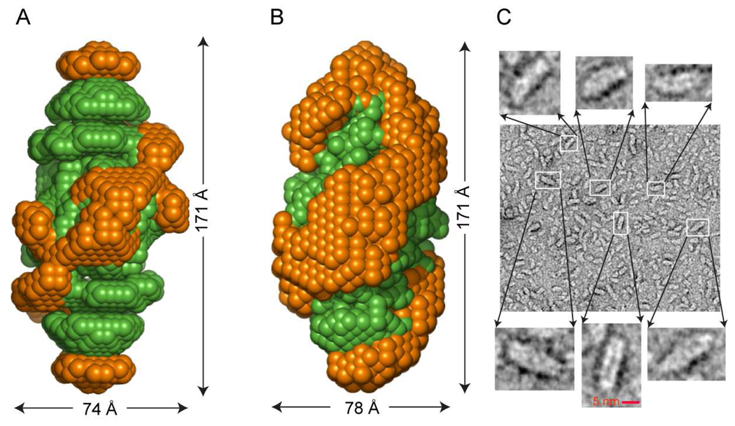 FIGURE 4