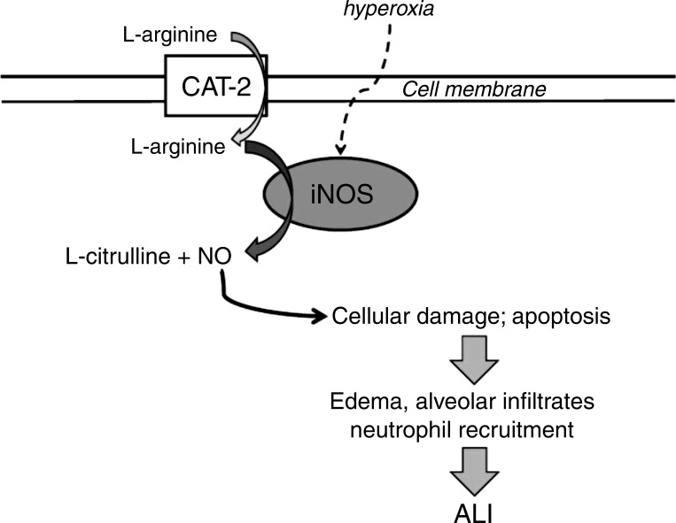 Fig. 9.