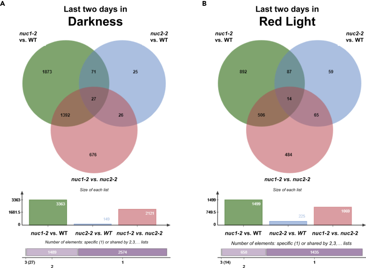 Figure 3