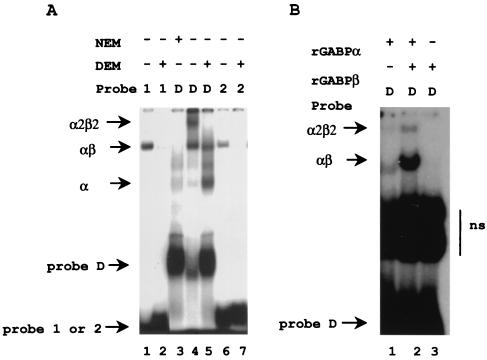 FIG. 5