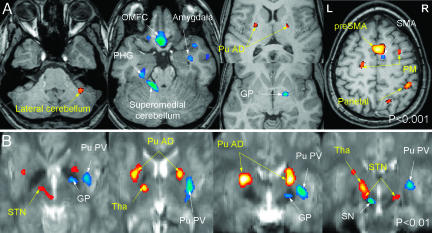 Fig. 2.