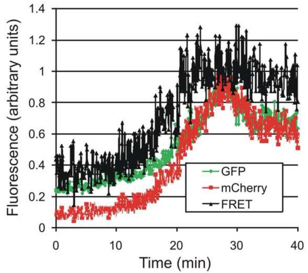 Fig 3