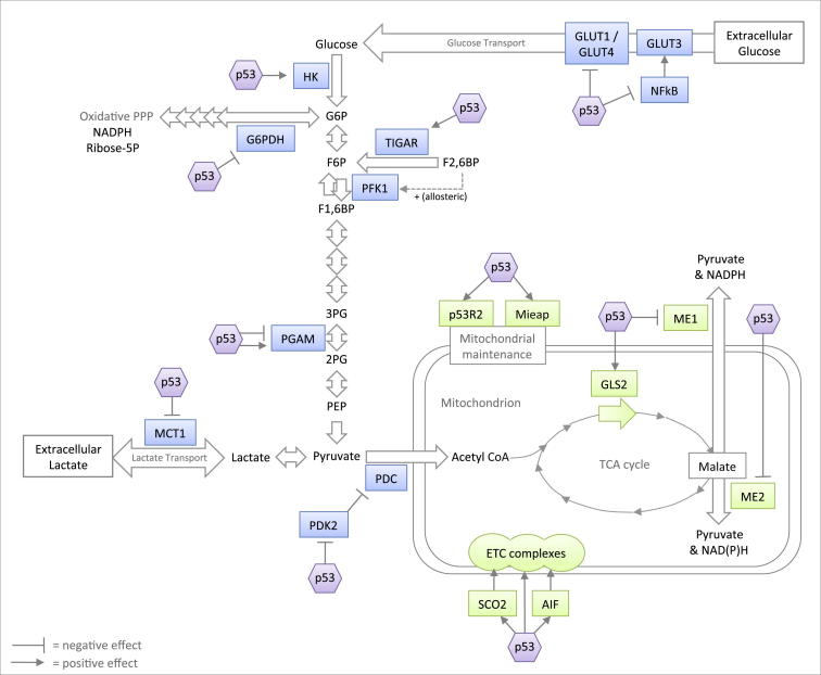 Figure 3