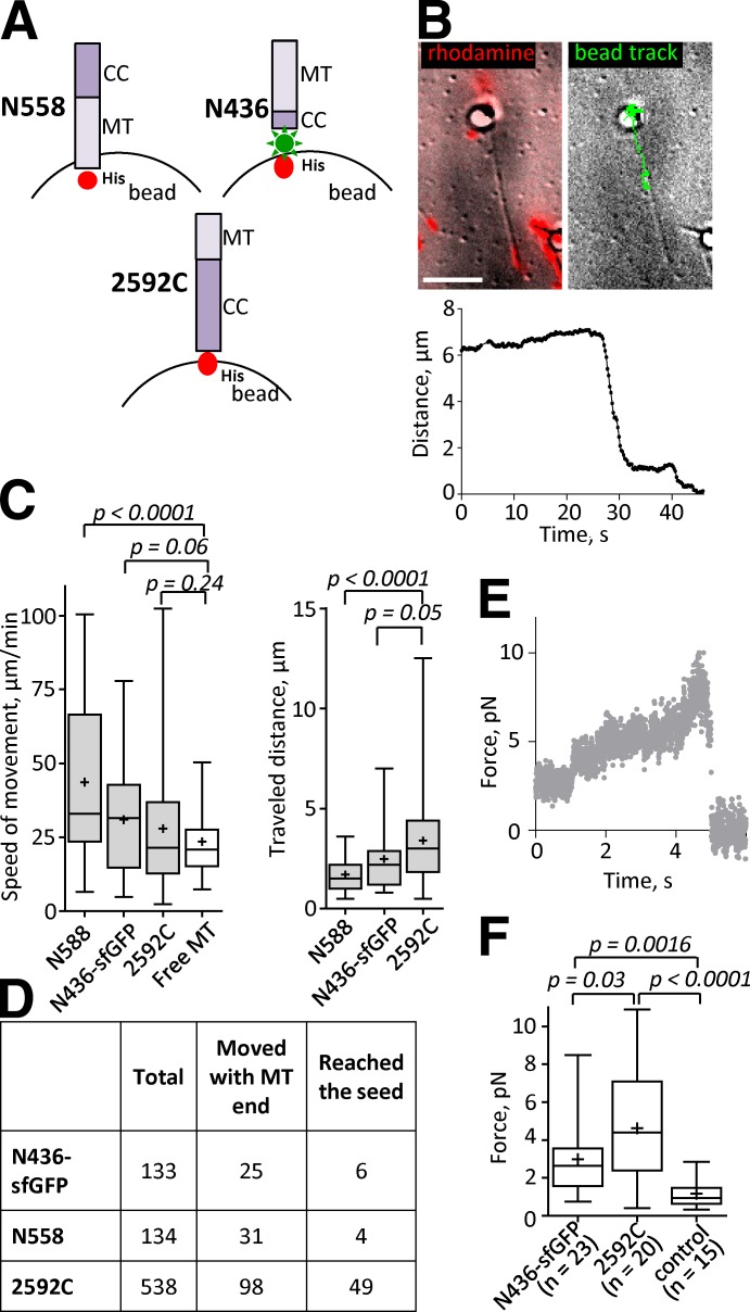 Figure 9.