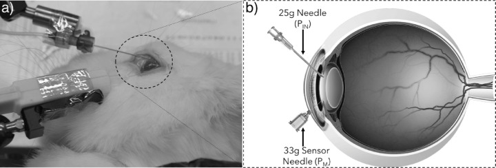 Figure 2.