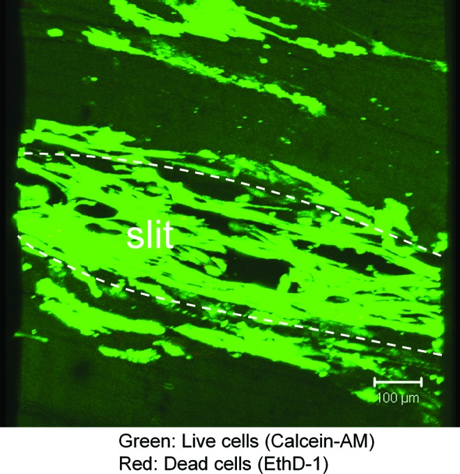 FIG. 6.