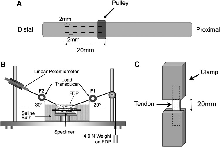 FIG. 1.