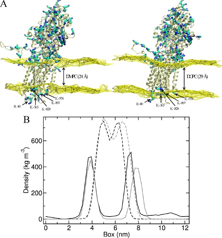 FIGURE 7.