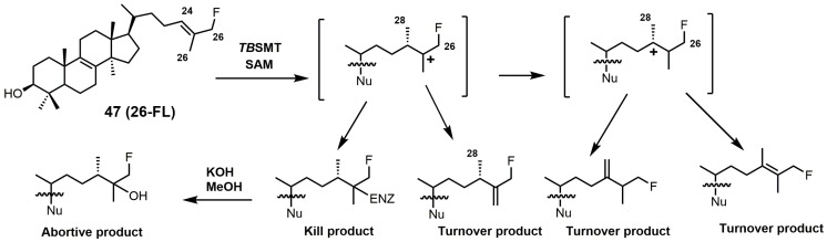 Figure 21