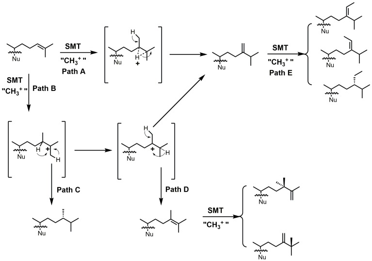 Figure 18