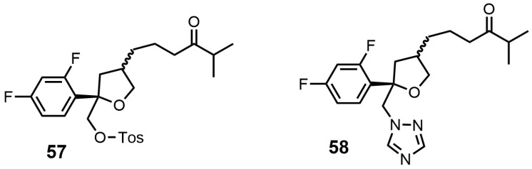 Figure 29