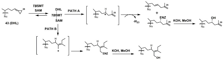 Figure 20