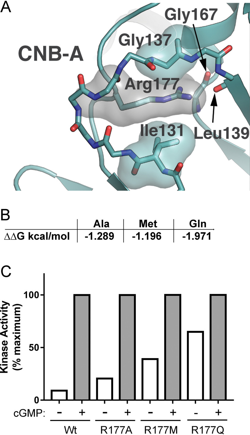 Figure 6.