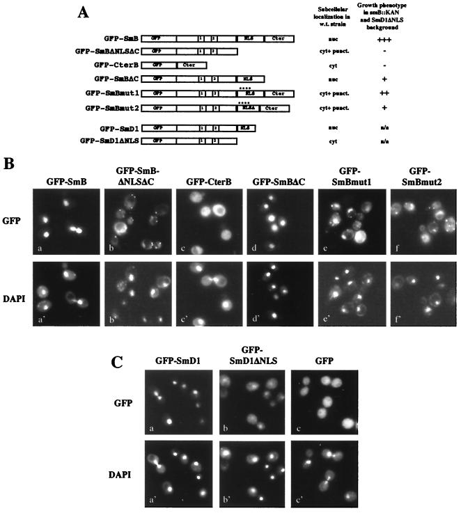 FIG. 6