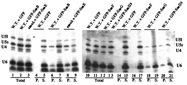 FIG. 5