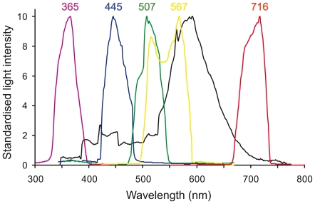 Figure 5