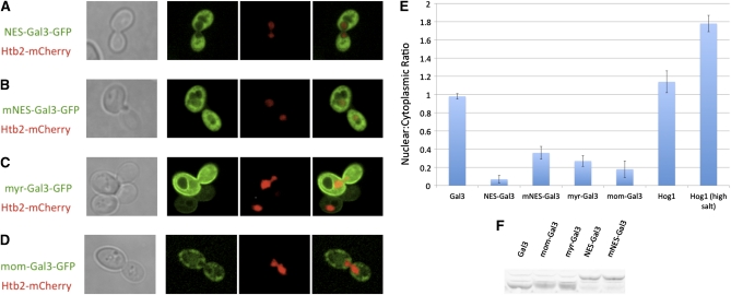 Figure 3 