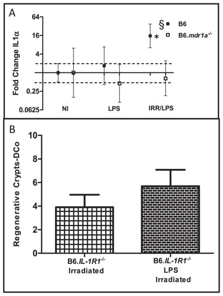 FIG. 6