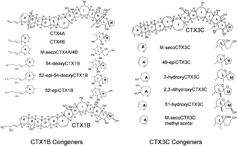 Figure 1.