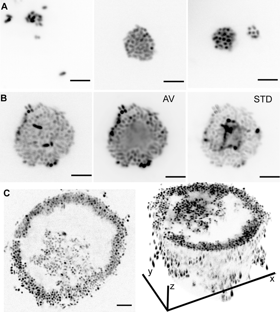 Figure 1.