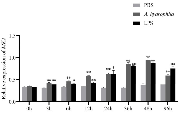 Figure 5