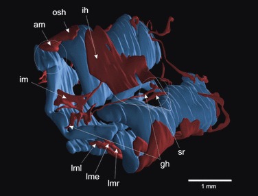 Fig. 5