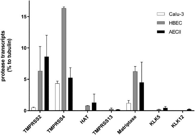 FIG 2