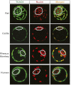 Fig. 4.