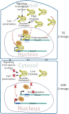 Fig. 6.