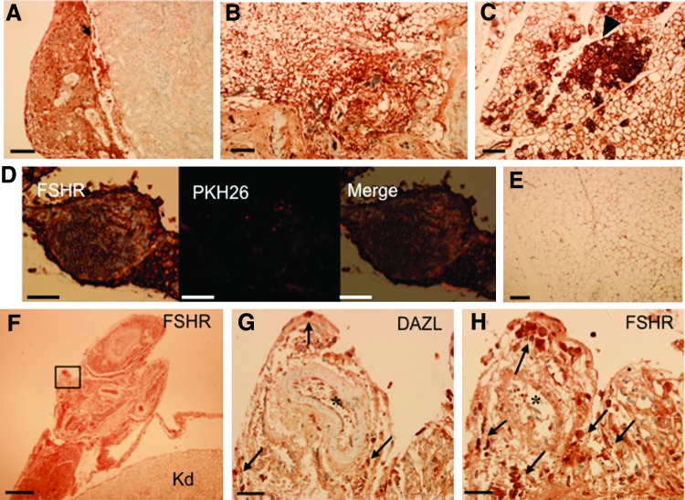 FIG. 6.