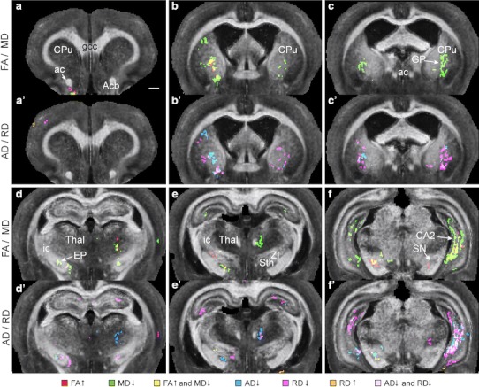 Fig. 4