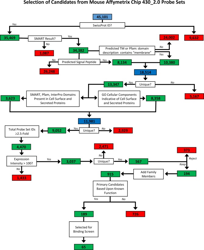 Figure 1—figure supplement 1.