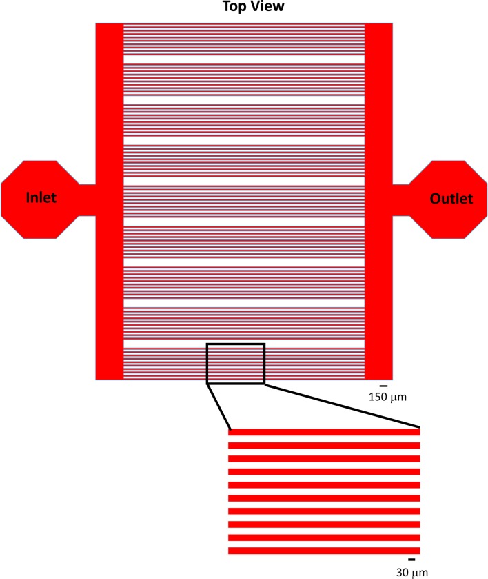 Figure 5—figure supplement 1.