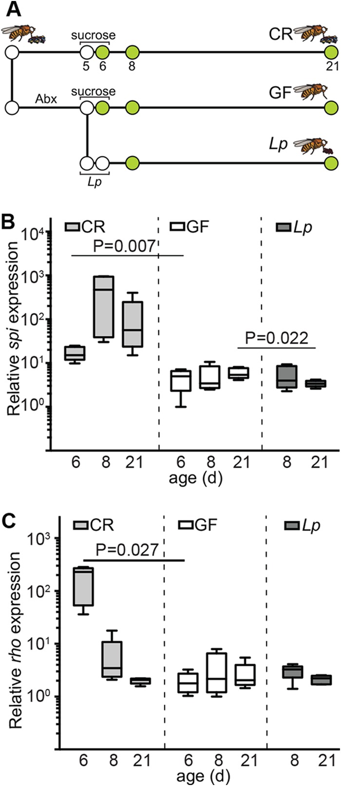 FIG 3 