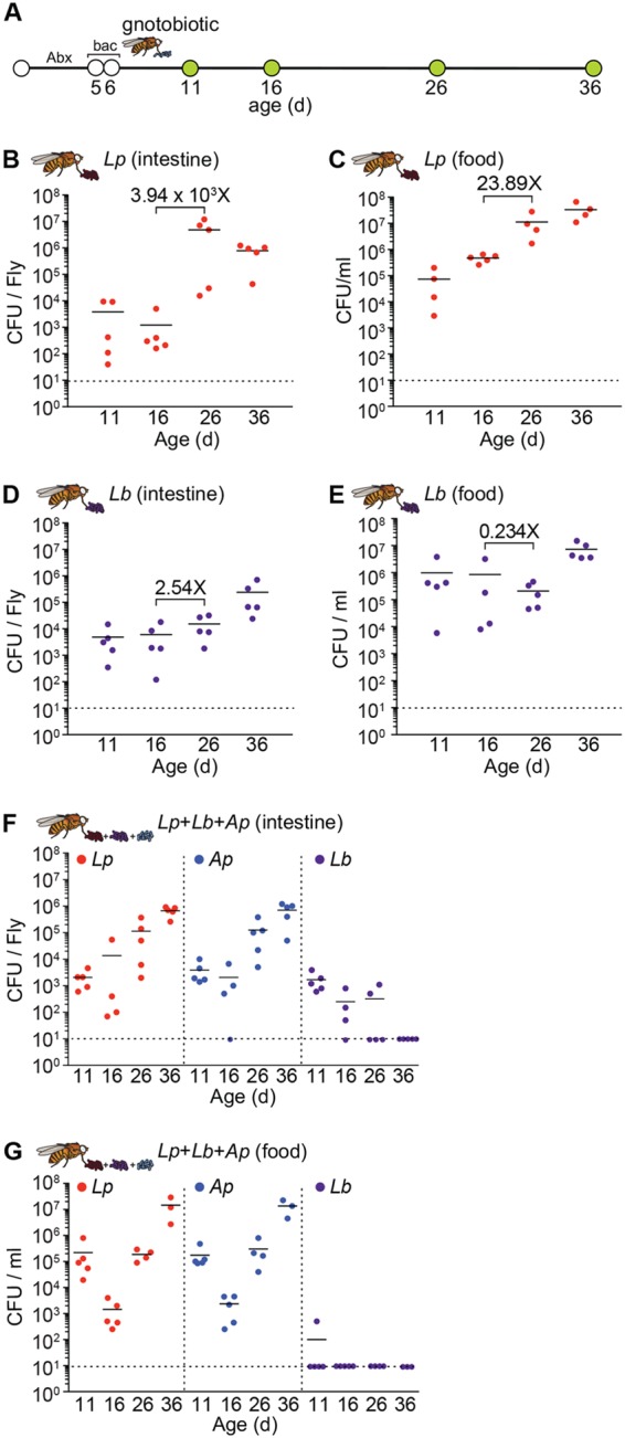 FIG 1 