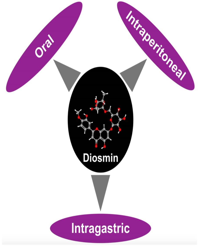 Fig. 2