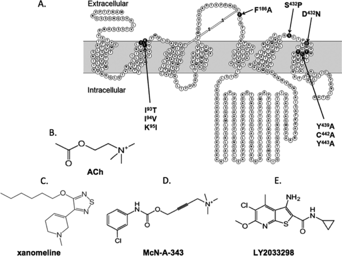 FIGURE 1.