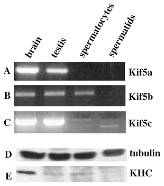 FIG. 8