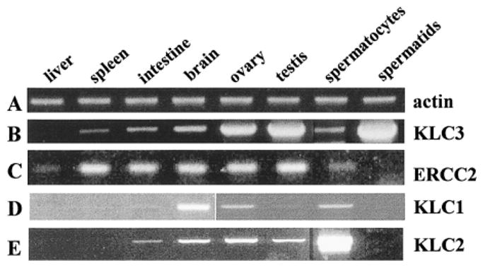 FIG. 5