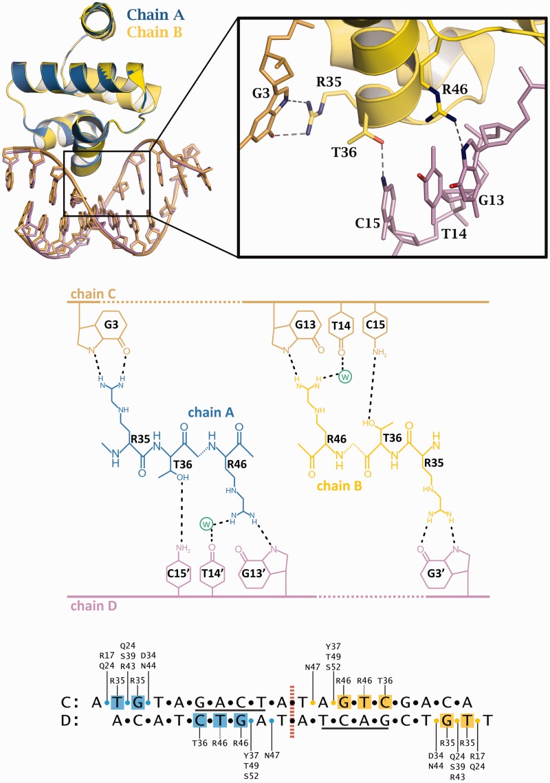 Figure 4.