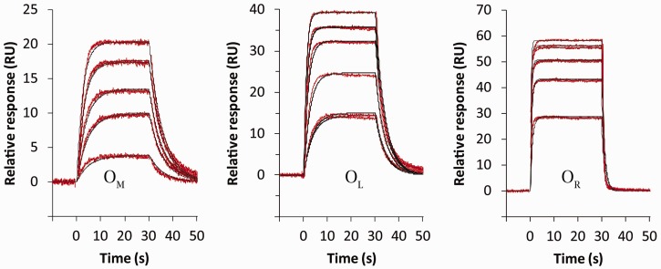 Figure 5.